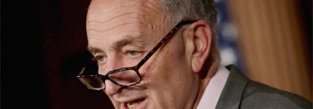 Chuck Schumer: OK With Piecemeal Immigration Approach